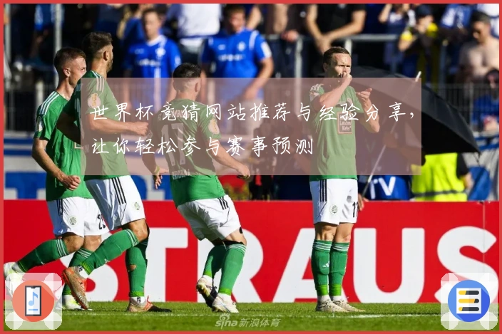 世界杯竞猜网站推荐与经验分享，让你轻松参与赛事预测