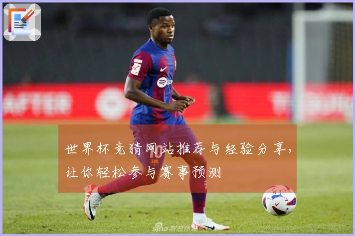 世界杯竞猜网站推荐与经验分享，让你轻松参与赛事预测