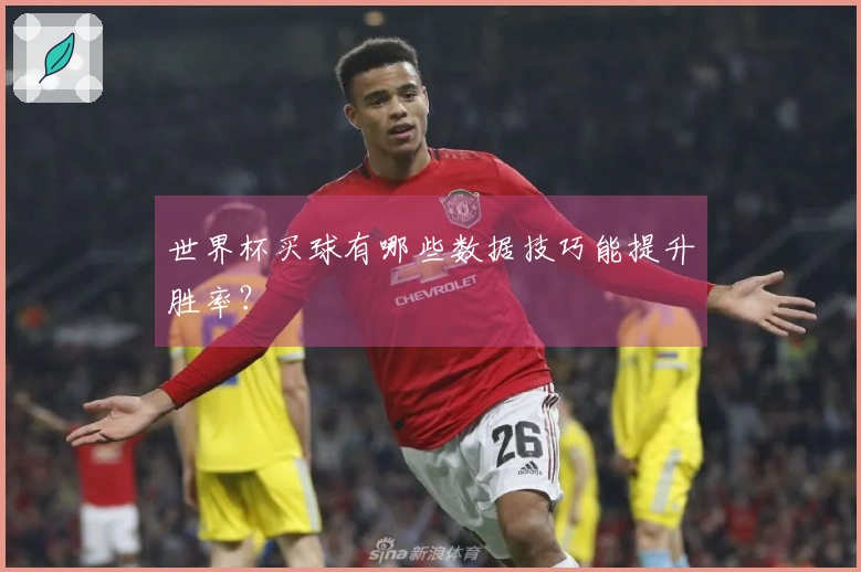 世界杯买球有哪些数据技巧能提升胜率？
