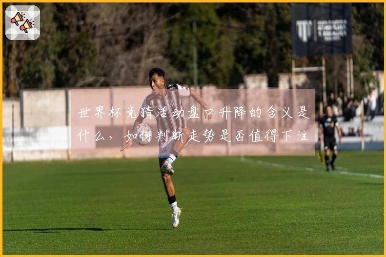 世界杯竞猜活动盘口升降的含义是什么，如何判断走势是否值得下注