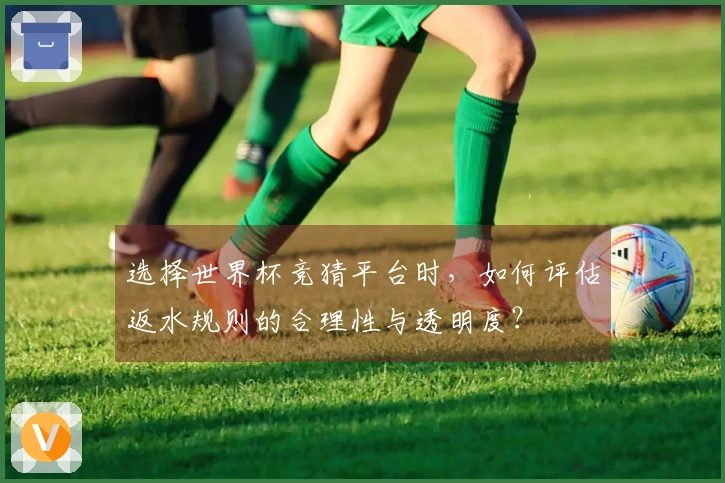 选择世界杯竞猜平台时，如何评估返水规则的合理性与透明度？