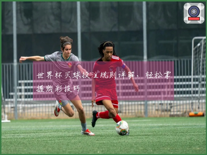 世界杯买球投注规则详解，轻松掌握购彩技巧
