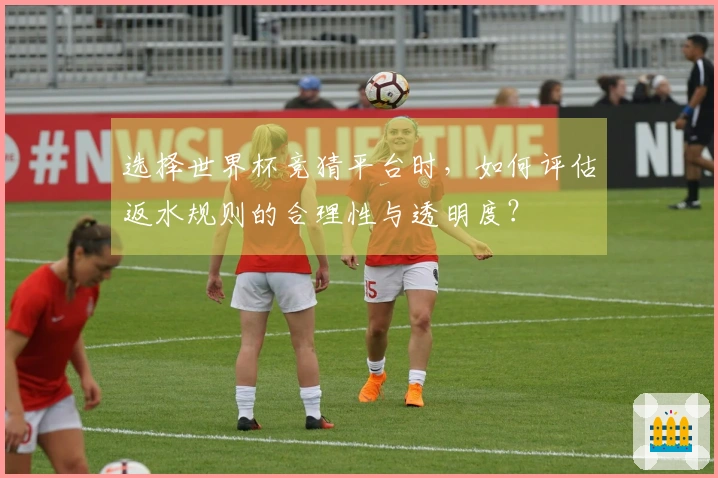 选择世界杯竞猜平台时，如何评估返水规则的合理性与透明度？