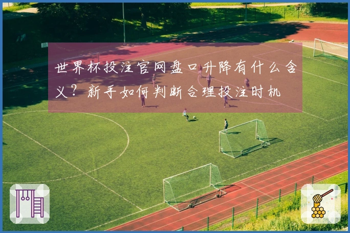 世界杯投注官网盘口升降有什么含义？新手如何判断合理投注时机